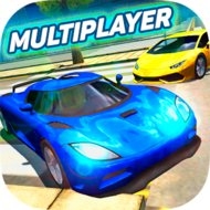 Multiplayer Driving Simulator (MOD, unlimited money)