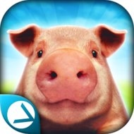 Pig Simulator (MOD, much money)