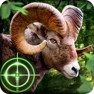 Дикий охотник - Wild Hunter 3D mod apk