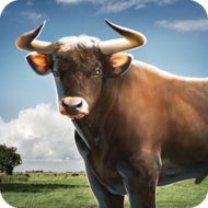 Bull Simulator 3D apk