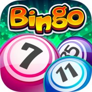 Bingo mod apk