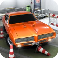 Parking Reloaded 3D (MOD, Unlocked level)