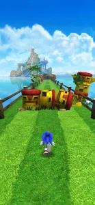 Sonic Dash (MOD, много денег)