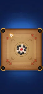 Carrom Pool